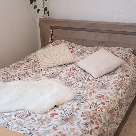 Le Petit Cocon Daire Montbozon Dış mekan fotoğraf
