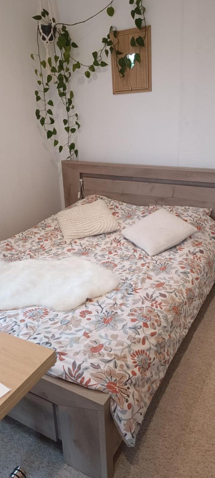 Le Petit Cocon Daire Montbozon Dış mekan fotoğraf